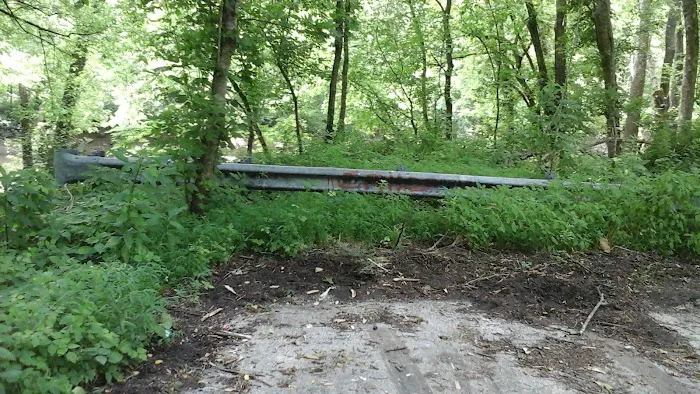 Miller's Creek Camping Area Picture 4