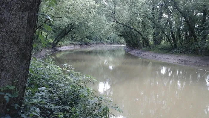 Miller's Creek Camping Area Picture 9