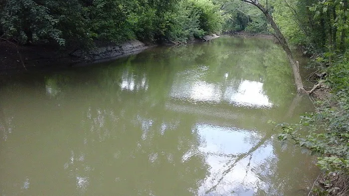 Miller's Creek Camping Area Picture 3