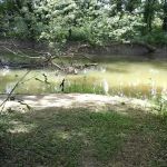 Miller's Creek Camping Area