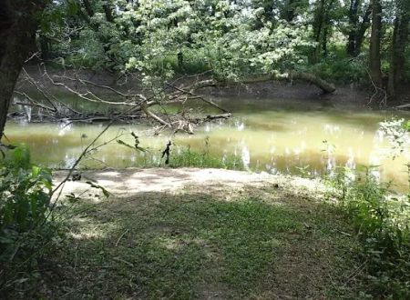 Miller's Creek Camping Area