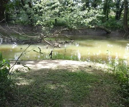 Miller's Creek Camping Area