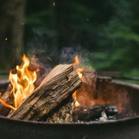 Firefly Hills ico