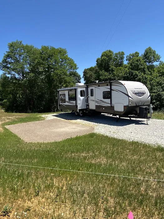 Firefly Hills Picture 3