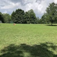 Lake In the Pines ico