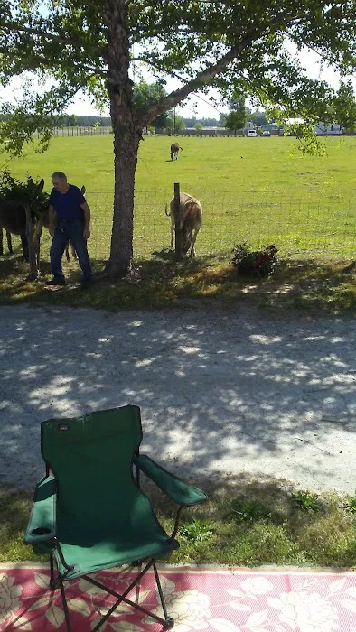 Boss's RV Park Picture 3