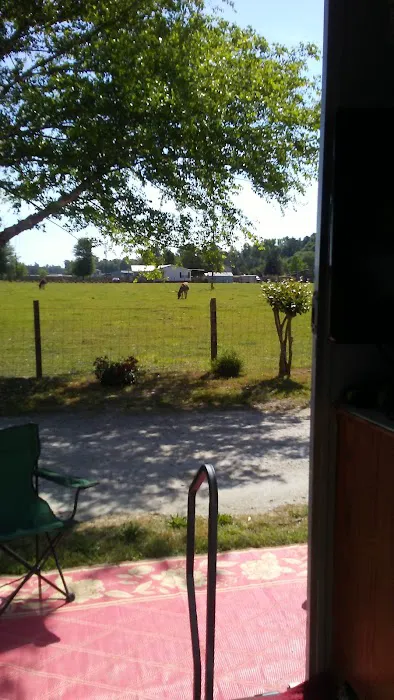 Boss's RV Park Picture 2