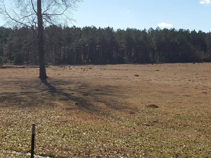 Country Living RV Picture 8