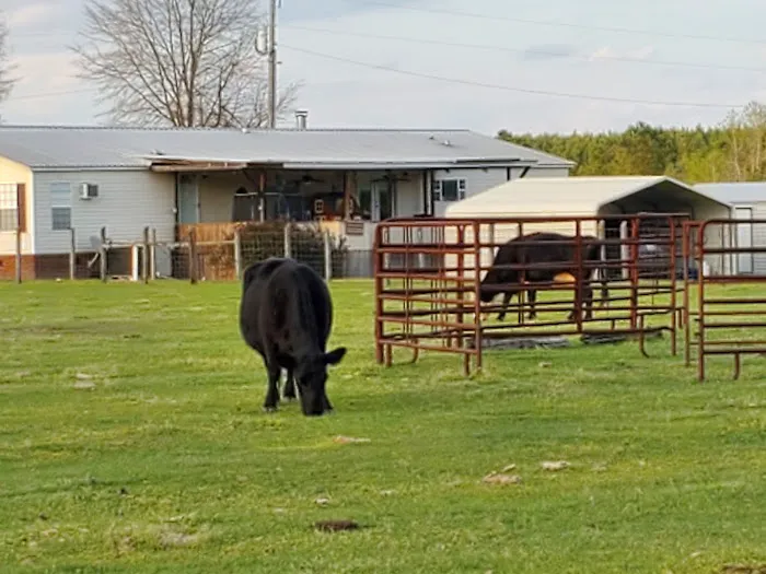 Country Living RV Picture 9