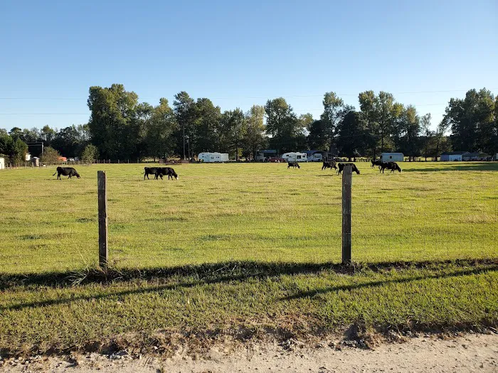 Country Living RV Picture 2