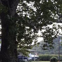 Wake Rider Campground ico