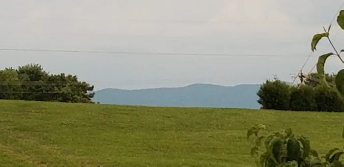 Maple Lane Park Picture 1