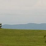 Maple Lane Park