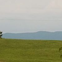 Maple Lane Park ico