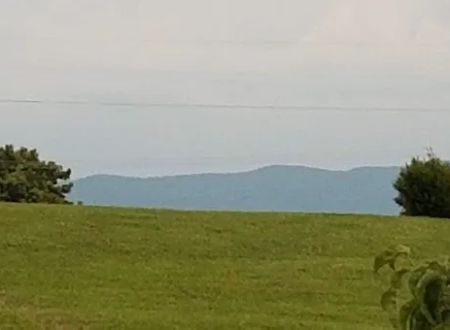 Maple Lane Park