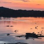 Canby Ferry RV Campground