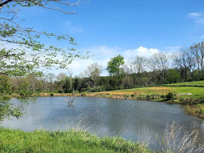 Bourbon Trail Campground Picture 10