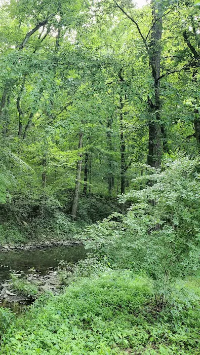 Bourbon Trail Campground Picture 5