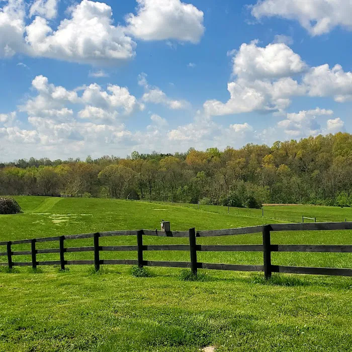 Bourbon Trail Campground Picture 4