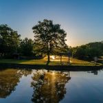 Lake Shelby