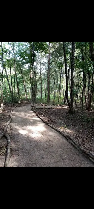 Charleston Commons RV Park Picture 7