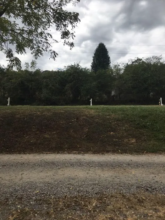 Charleston Commons RV Park Picture 6
