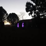 Deer Hollow Estates LLC