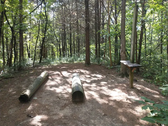 Cedar Ridge Backcountry Campsite Picture 9