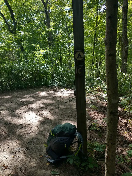 Cedar Ridge Backcountry Campsite Picture 6