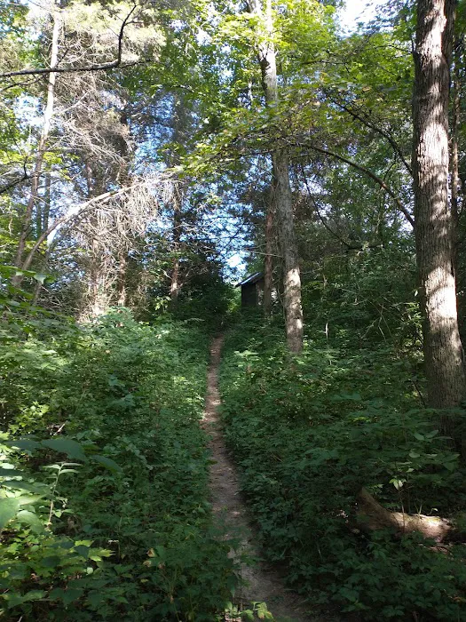 Cedar Ridge Backcountry Campsite Picture 3