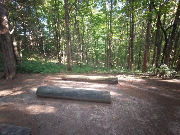 Cedar Ridge Backcountry Campsite Picture 4