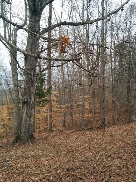 Deer Ridge RV Park Picture 3