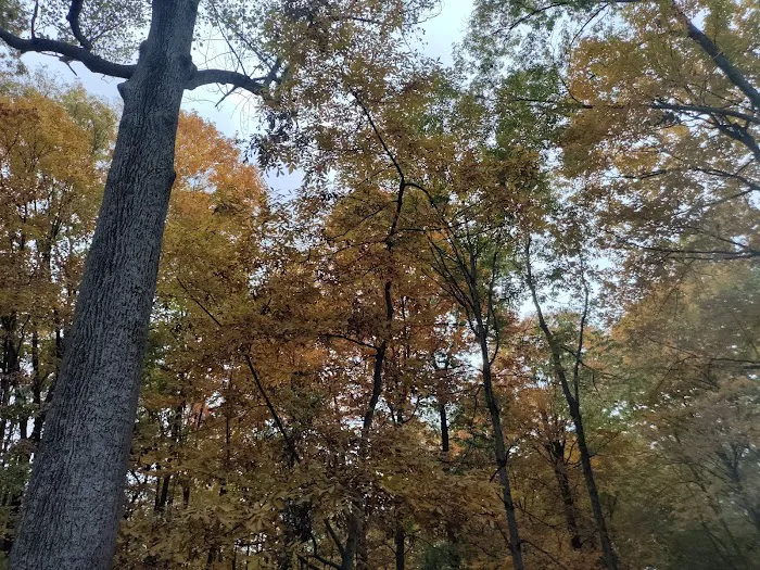 Deer Run Property Owners Association Picture 2