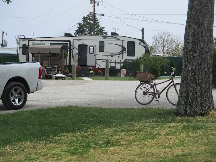 Alan Schneider's Bayside Marina and RV Park Picture 4
