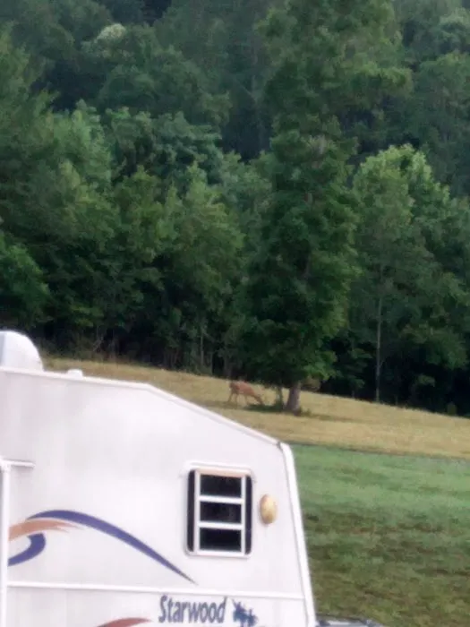 Anchors Away RV Park Picture 1