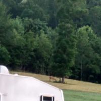 Anchors Away RV Park ico