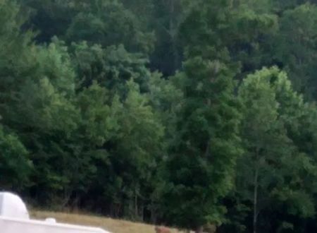 Anchors Away RV Park