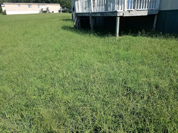 Miller Pointe Mobile Home Park Picture 5