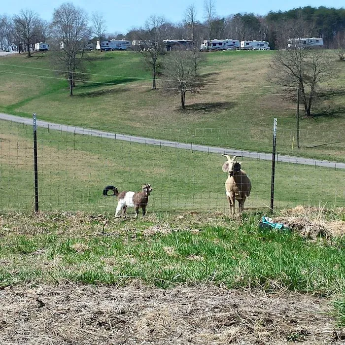 Lazy Acers RV Park Picture 8