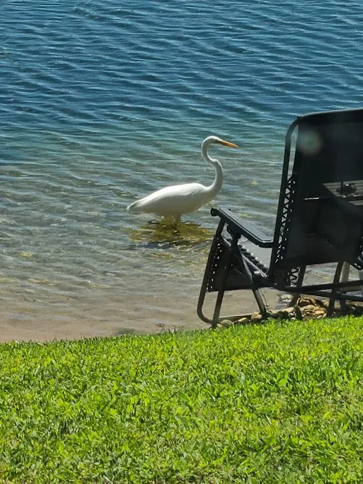 Eagle's Cove RV Resort Picture 6