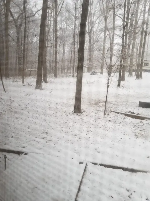 Wesley Oaks RV park Picture 2