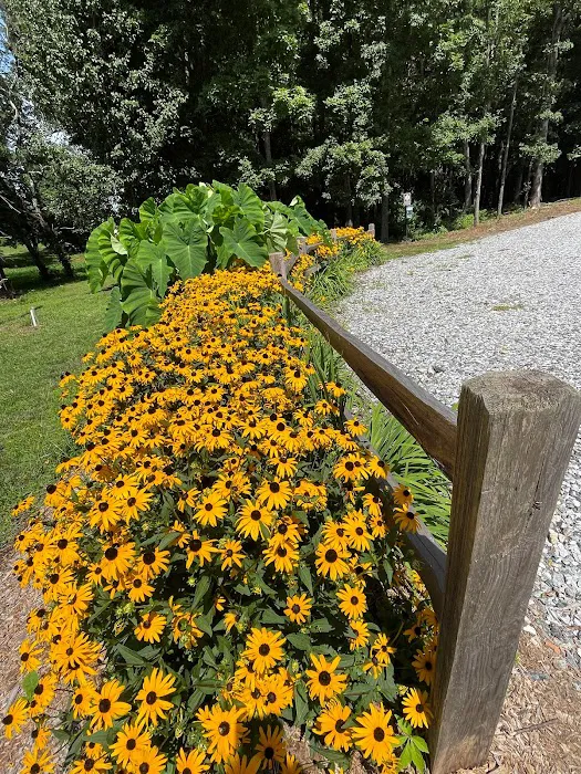 Wesley Oaks RV park Picture 3