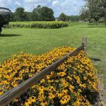 Wesley Oaks RV park