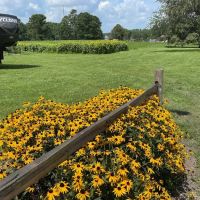 Wesley Oaks RV park ico