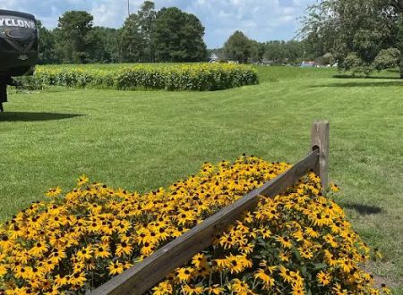 Wesley Oaks RV park