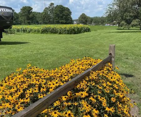 Wesley Oaks RV park