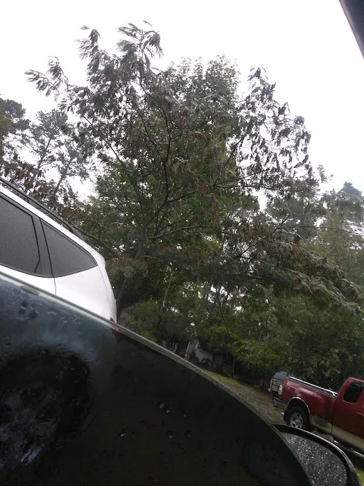 Pine Valley Mobile Home Park Picture 9