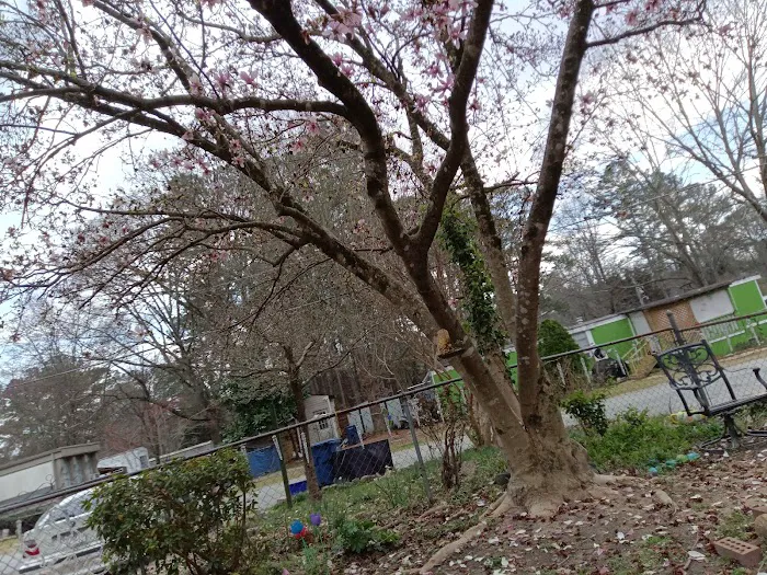 Pine Valley Mobile Home Park Picture 7