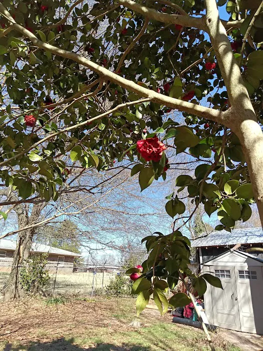 Pine Valley Mobile Home Park Picture 6