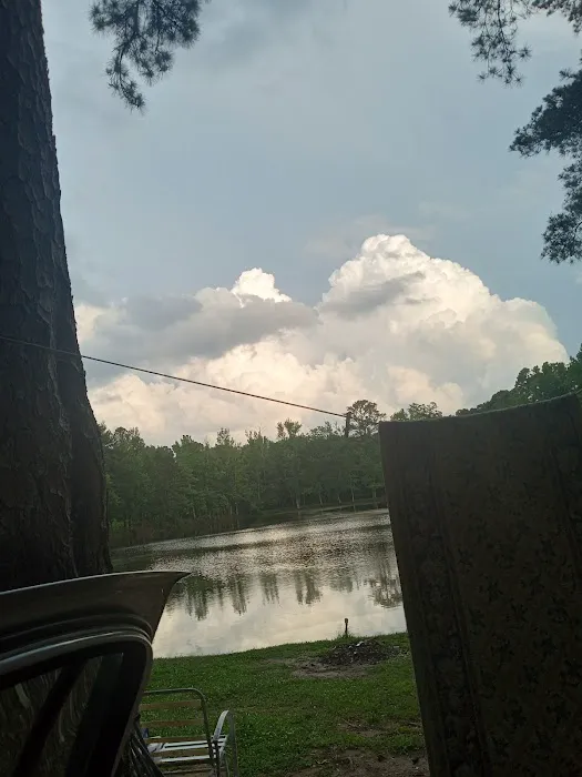 Briscoe Trailer Park Picture 1